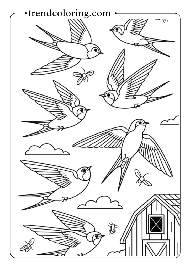 Swallow Aerial Ballet