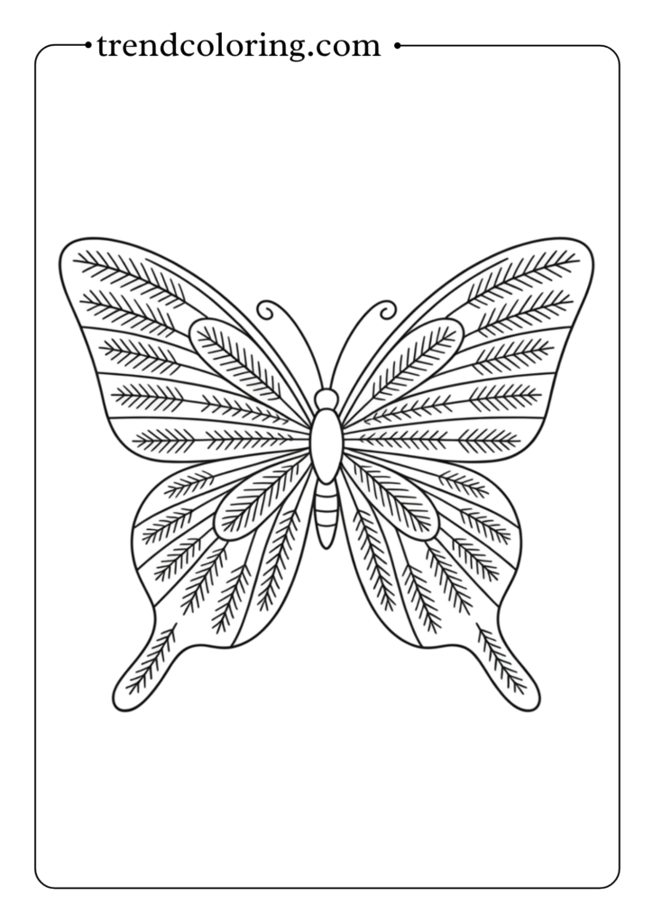 Butterfly with Feather Patterns