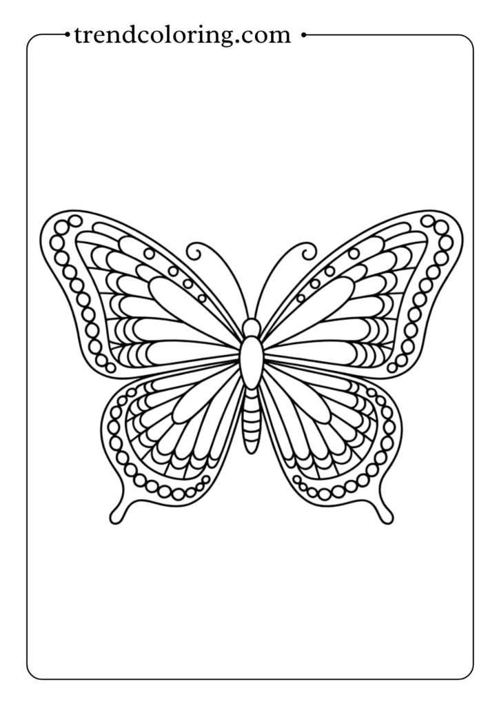 Delicate Lace Butterfly