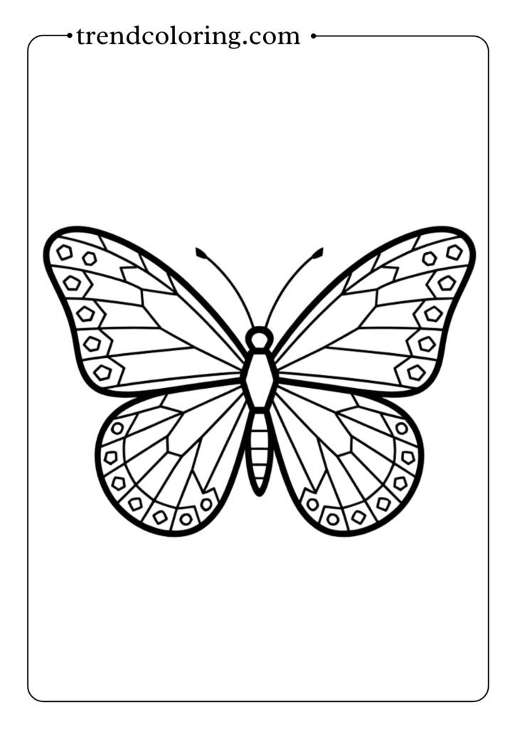 Geometric Pattern Butterfly
