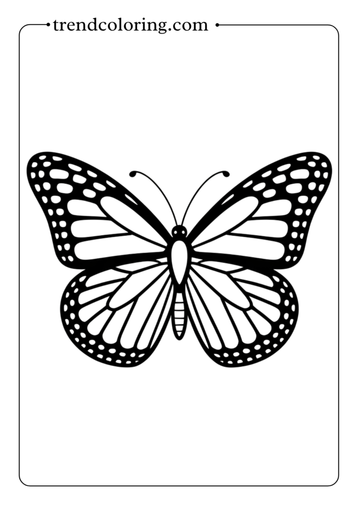 Monarch Butterfly Classic