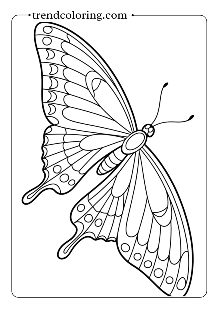 Swallowtail Butterfly with Tails
