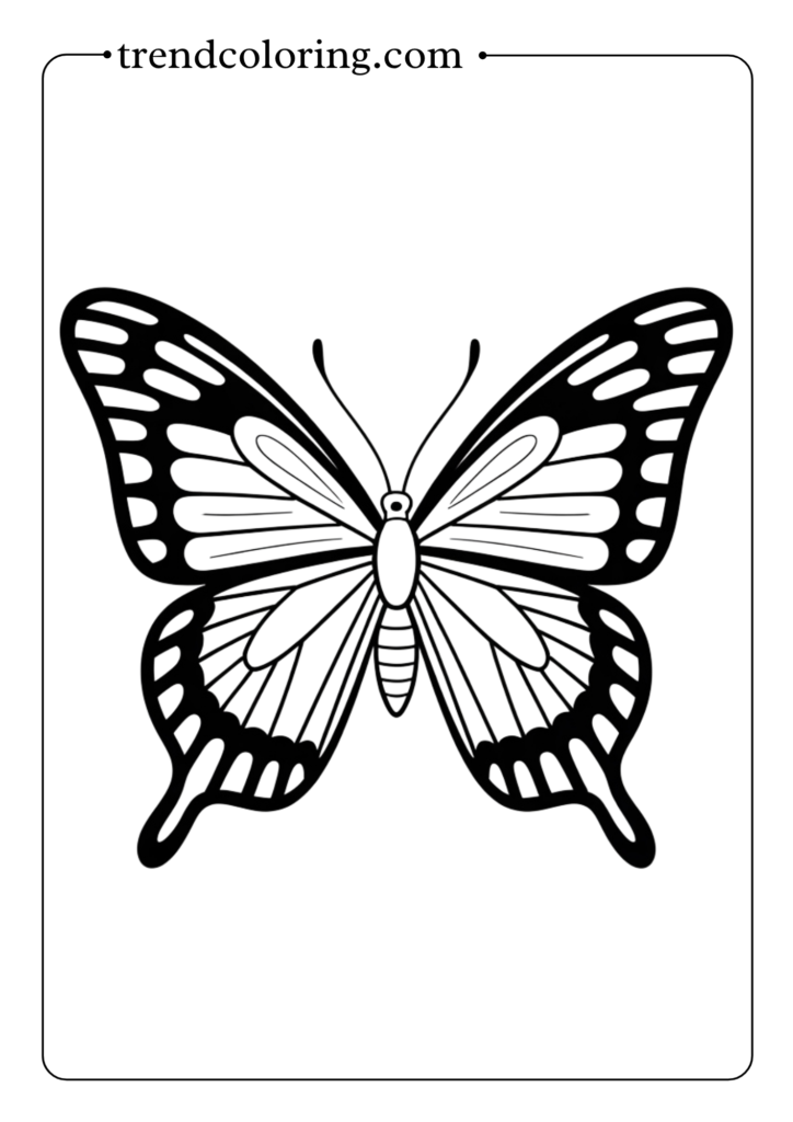Tropical Butterfly with Bold Patterns