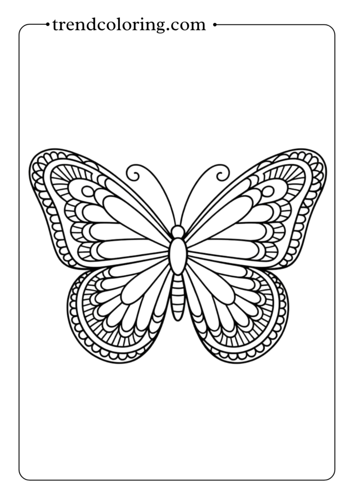 Vintage Doily Butterfly